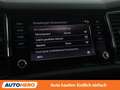 Skoda Kodiaq 2.0 TDI Style 4x4 Grau - thumbnail 24