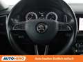 Skoda Kodiaq 2.0 TDI Style 4x4 Grau - thumbnail 19