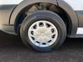 Ford transit 330 2.0 tdci MHEV 130cv trend L3H2 E6.2 Bianco - thumbnail 14