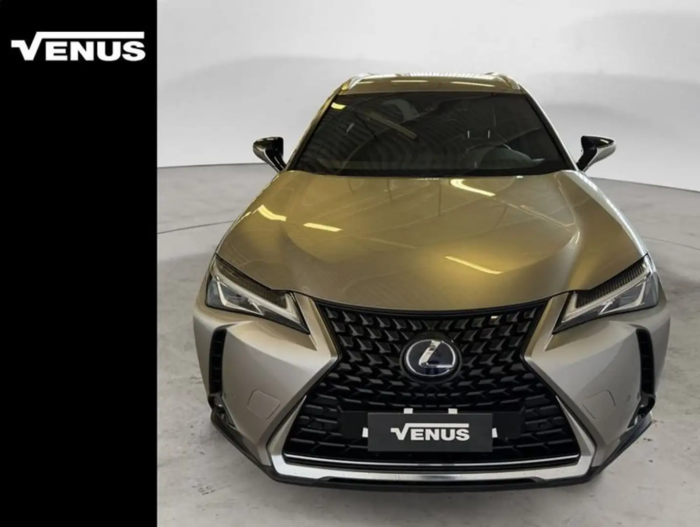 Lexus UX 250h 250h 2.0 Luxury 4wd cvt my20 Grigio - 1