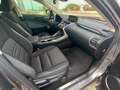 Lexus NX 300 NX 300h 2.5 Business 4wd cvt 24 mesi Garanzia Grigio - thumbnail 12