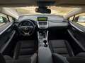 Lexus NX 300 NX 300h 2.5 Business 4wd cvt 24 mesi Garanzia Grigio - thumbnail 8