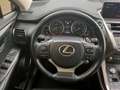 Lexus NX 300 NX 300h 2.5 Business 4wd cvt 24 mesi Garanzia Grey - thumbnail 9