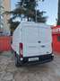 Ford Transit FT 350 L2 Van Ambiente 130 Blanco - thumbnail 7