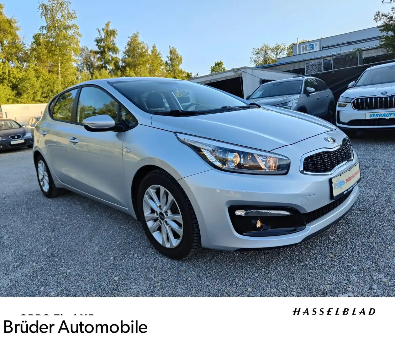Kia Ceed / cee'd Ceed 1,6 GDI Edition7 "1HAND "Bluetooth "NEU TÜV Argent - 1
