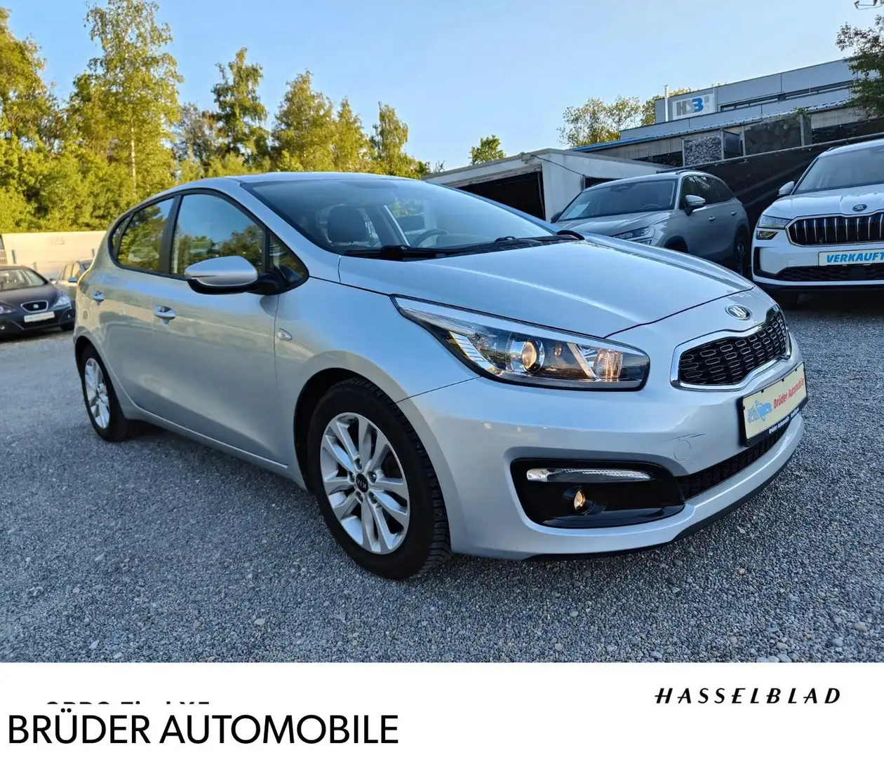 Kia Ceed / cee'd Ceed 1,6 GDI Edition7 "1HAND "Bluetooth "NEU TÜV Silber - 1