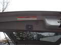 Kia Carnival 2.9 CRDi VGT LX /Klima /Leder/SHZ/7-Sit Silber - thumbnail 17