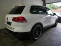 Volkswagen Touareg 3.0 V6 TDI Tiptronic BMT BBS Alufelgen Weiß - thumbnail 4