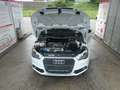 Audi A1 ambition**Automatic**Garantie**1.Hand* Weiß - thumbnail 23