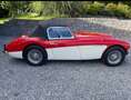 Austin-Healey 100 BN4 Rojo - thumbnail 2