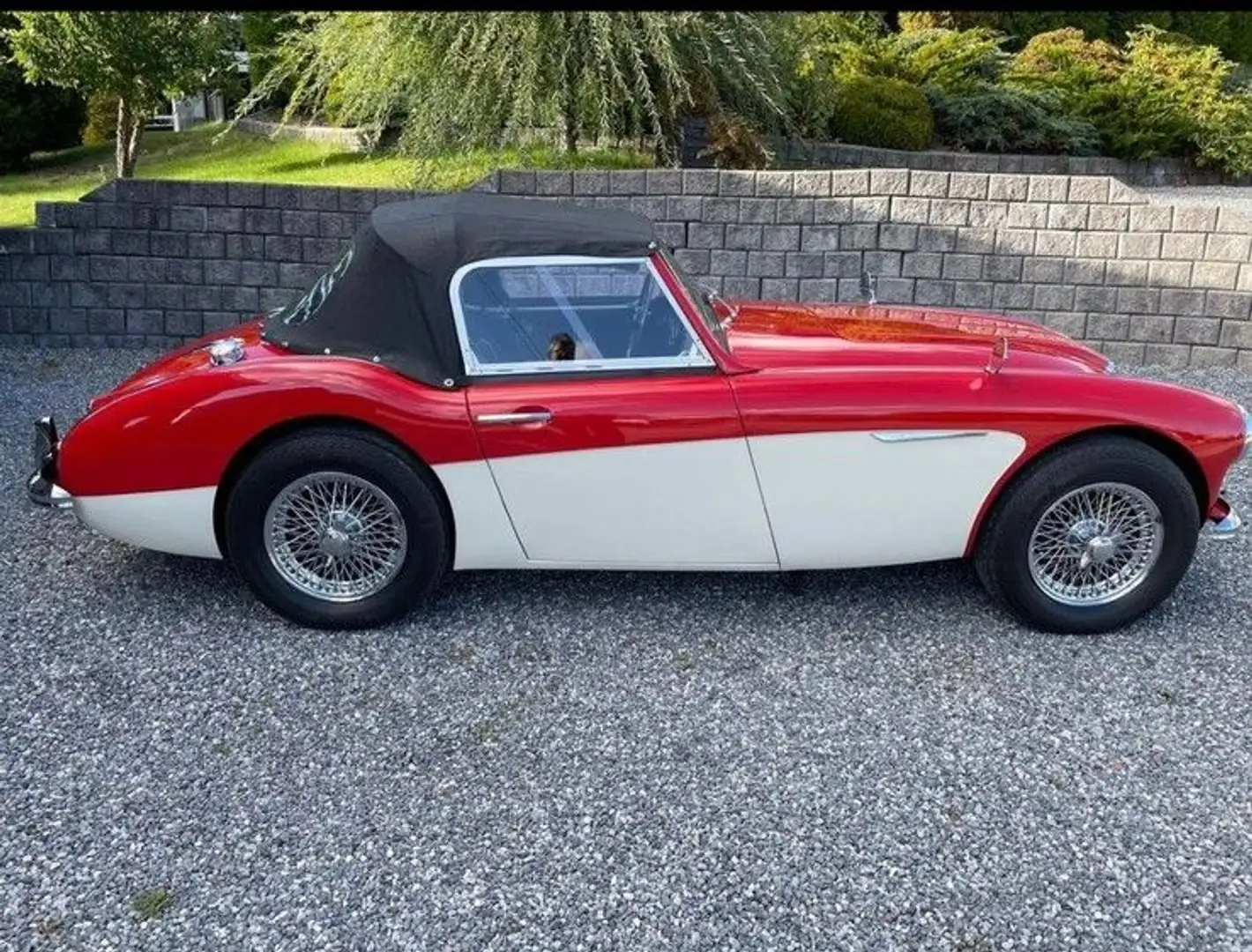 Austin-Healey 100 BN4 Rojo - 2