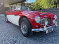 Austin-Healey 100 BN4 Rojo - thumbnail 1