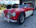 Austin-Healey 100 BN4 Rojo - thumbnail 4