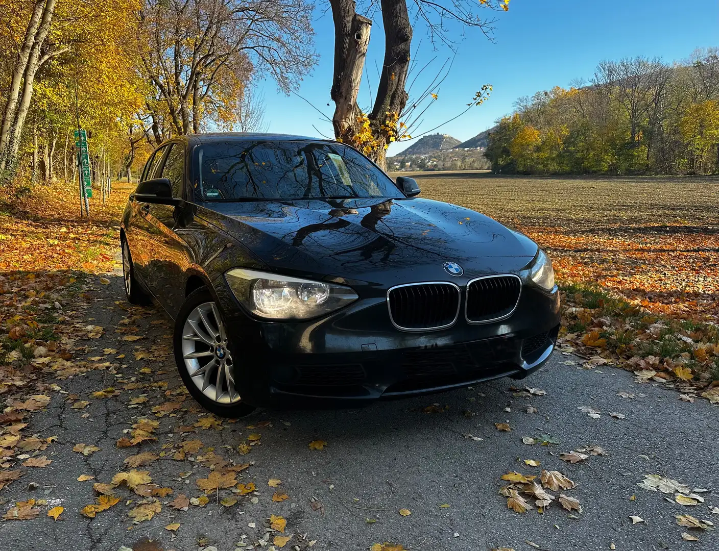 BMW 116 116d F20, Steuerkette Neu - 1