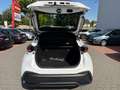 Toyota C-HR 1.8 Hybrid Business Ed Navi*CarPlay*Sitzhzg White - thumbnail 17