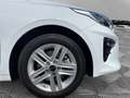 Kia Ceed / cee'd 1.4 Vision Klimaautom Navi Fahrerprofil SHZ Lenkra White - thumbnail 7