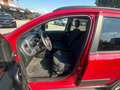 Fiat Panda Cross 1.0 FireFly S&S Hybrid Rosso - thumbnail 13