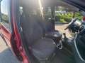Fiat Panda Cross 1.0 FireFly S&S Hybrid Rosso - thumbnail 14