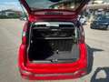 Fiat Panda Cross 1.0 FireFly S&S Hybrid Rosso - thumbnail 9