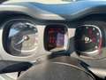 Fiat Panda Cross 1.0 FireFly S&S Hybrid Rosso - thumbnail 15