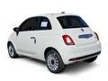 Fiat 500 Basis 1.0 Mild EU6d Hatchback MY23-1.0 GSE Hybrid Blanc - thumbnail 7