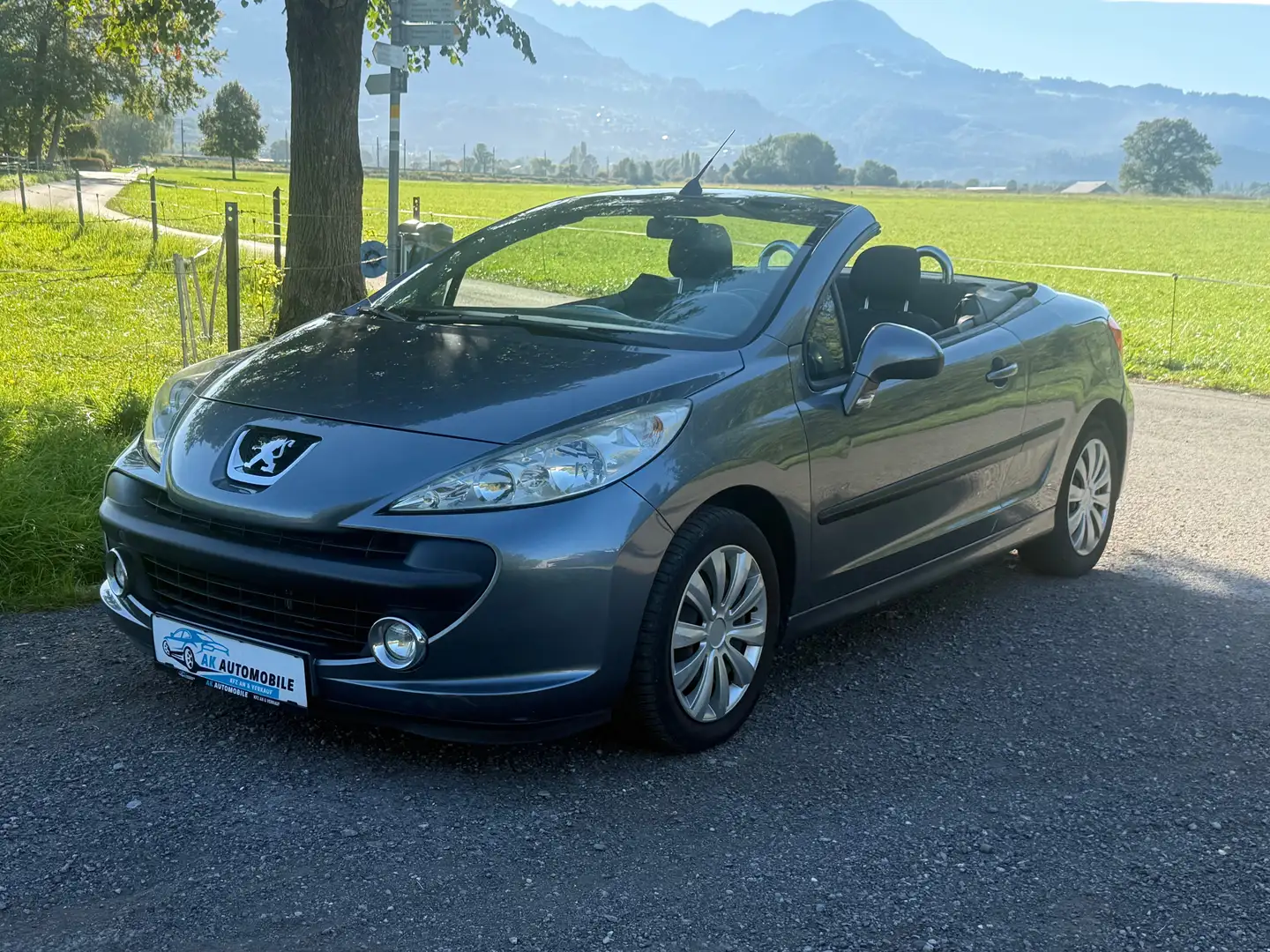 Peugeot 207 Filou Grau - 2