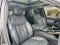 Land Rover Range Rover Sport D250 SE AWD Auto. 24MY Bruin - thumbnail 3