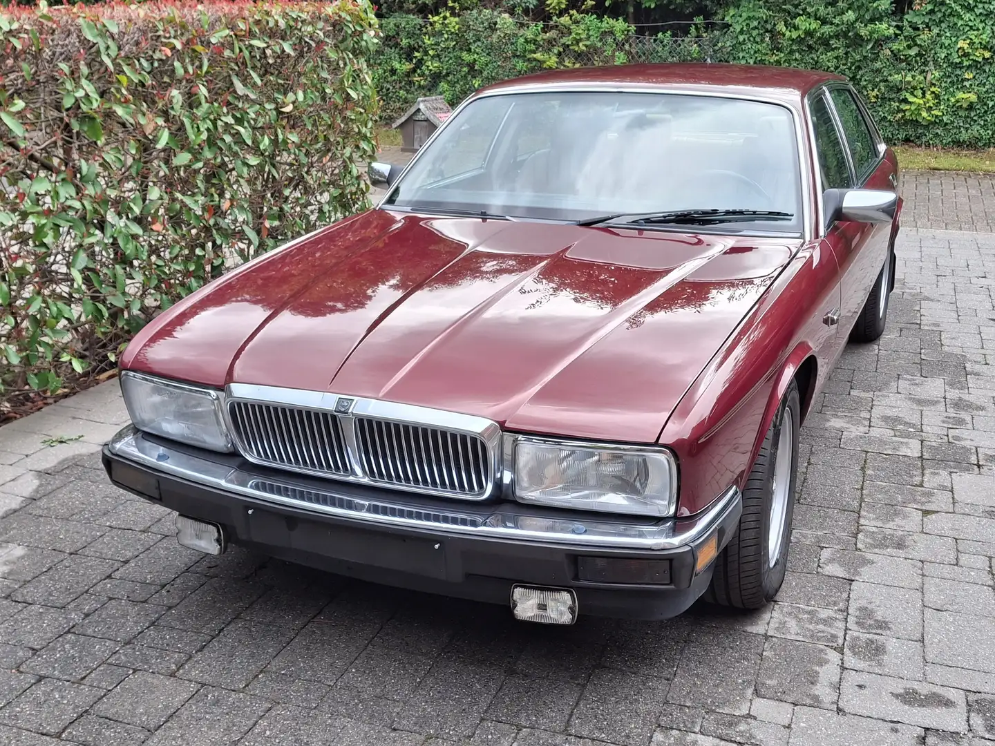 Jaguar XJ40 XJ6 Sovereign Roşu - 1