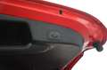 Ford Focus 1.5 EcoBlue Titanium X Business Wagon - Carplay, C Rood - thumbnail 10