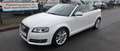 Audi A3 Ambition Weiß - thumbnail 9