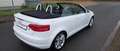 Audi A3 Ambition Weiß - thumbnail 12