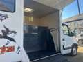 Opel MOVANO * VAN * CHEVAUX *  CAVALIER * 2 CHEVAUX * Blanc - thumbnail 24