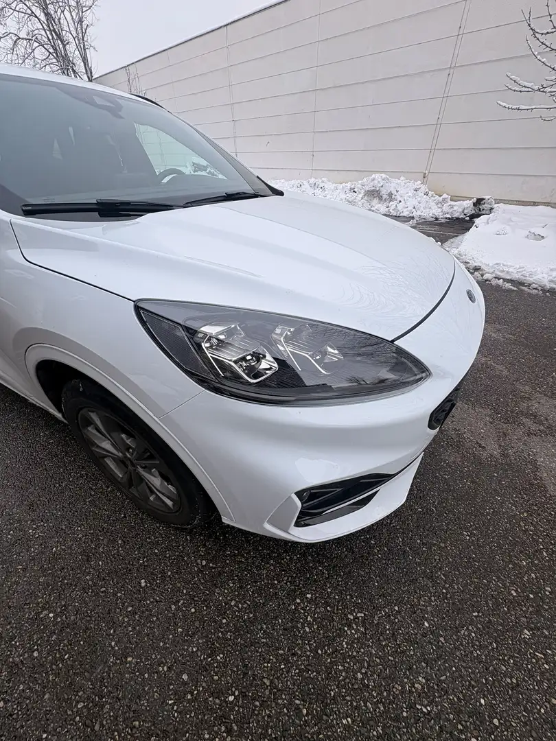 Ford Kuga 2,5 Duratec PHEV ST-Line Aut. - 2
