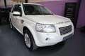 Land Rover Freelander 2.2Td4 HSE CommandShift Blanco - thumbnail 2