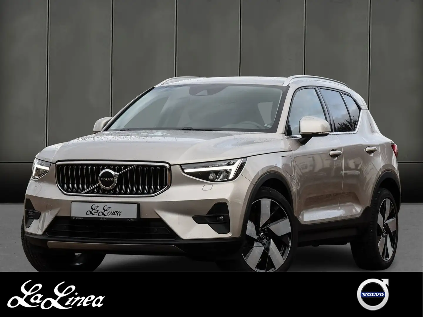 Volvo XC40 T5 Aut. Plus Bright Recharge Plug-In Hybrid Gold - 1