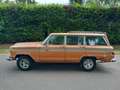 Jeep Wagoneer 5.9 V8 Quadra trac Hnědá - thumbnail 9