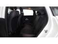 Mercedes-Benz B 250 e AMG Line Aut LED AHK LEDER NAVI SITZHZG Weiß - thumbnail 23