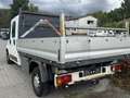 Fiat Ducato Pritsche Doppelkabine 7 Sitzer   L4 Weiß - thumbnail 3