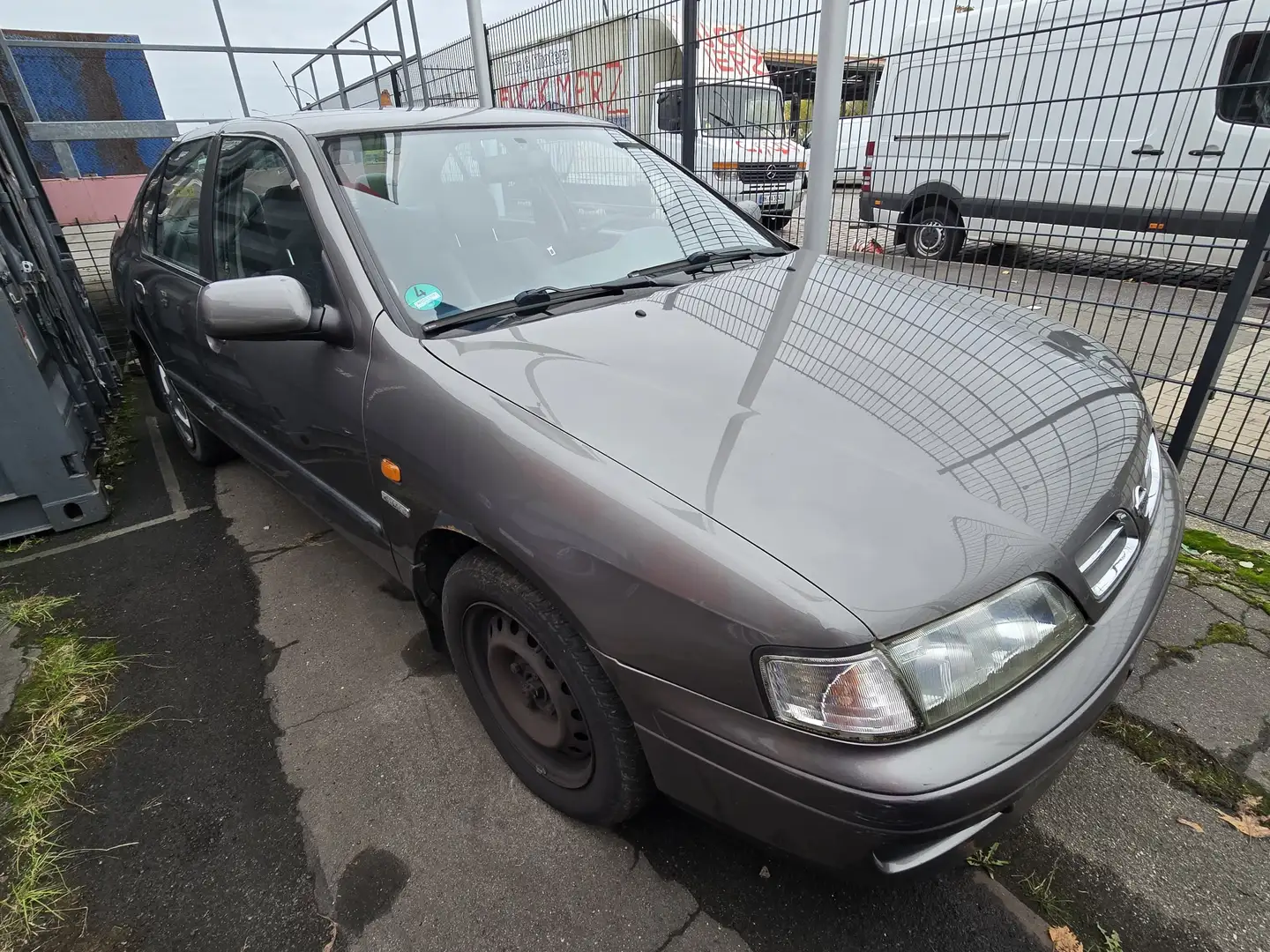 Nissan Primera Basis *Klima* Szary - 2