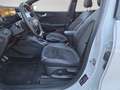 Ford Puma 1,0 EcoBoost Hybrid ST-Line X *TOP AUSSTATTUNG* Weiß - thumbnail 13