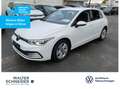 Volkswagen Golf 1.5 TSI Life Navi LEDplus SHZ Weiß - thumbnail 1