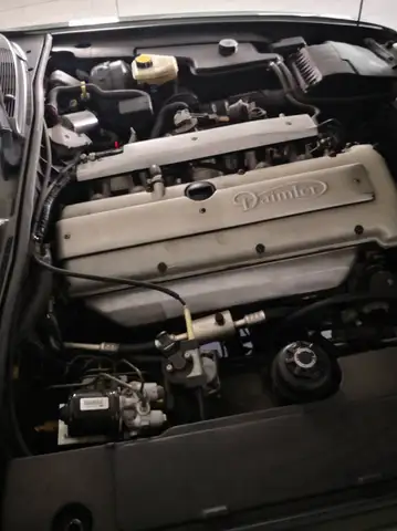 Jaguar Daimler view 7
