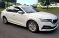 Skoda Octavia Octavia 2.0 TDI 150 ch SCR FAP DSG7 Business Blanc - thumbnail 9
