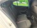 Skoda Octavia Octavia 2.0 TDI 150 ch SCR FAP DSG7 Business Blanc - thumbnail 8