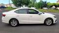 Skoda Octavia Octavia 2.0 TDI 150 ch SCR FAP DSG7 Business Blanc - thumbnail 5