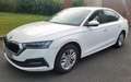 Skoda Octavia Octavia 2.0 TDI 150 ch SCR FAP DSG7 Business Blanc - thumbnail 1