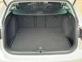 Volkswagen Golf VII Variant Highline/ACC/ PANO/Massage/R-Line Weiß - thumbnail 34