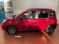 Fiat Panda Panda 1.3 MJT S&S Easy Rosso - thumbnail 4