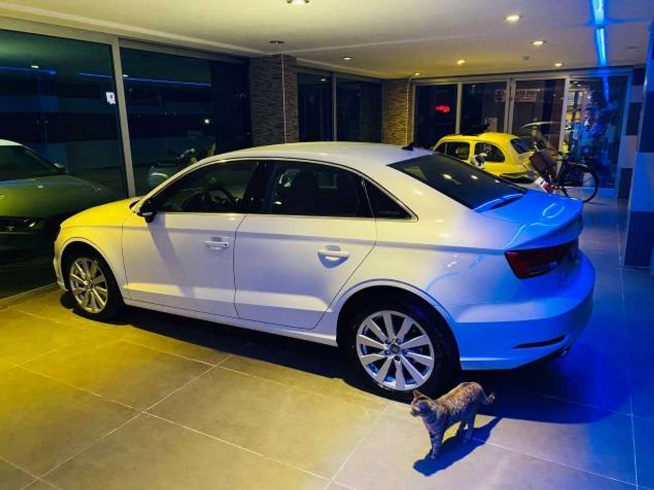 Audi A3 Sedan 30 1.6 TDI Business 116cv S-Tronic Eleganza Senza Tempo