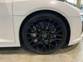Audi R8 V10 *PLUS* B&O-KERAMIK-MATTLACK-20"-EXCLUSIVE Weiß - thumbnail 7